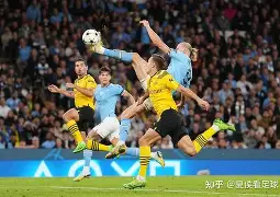 平博官网-哈兰德2023年传球数据分析