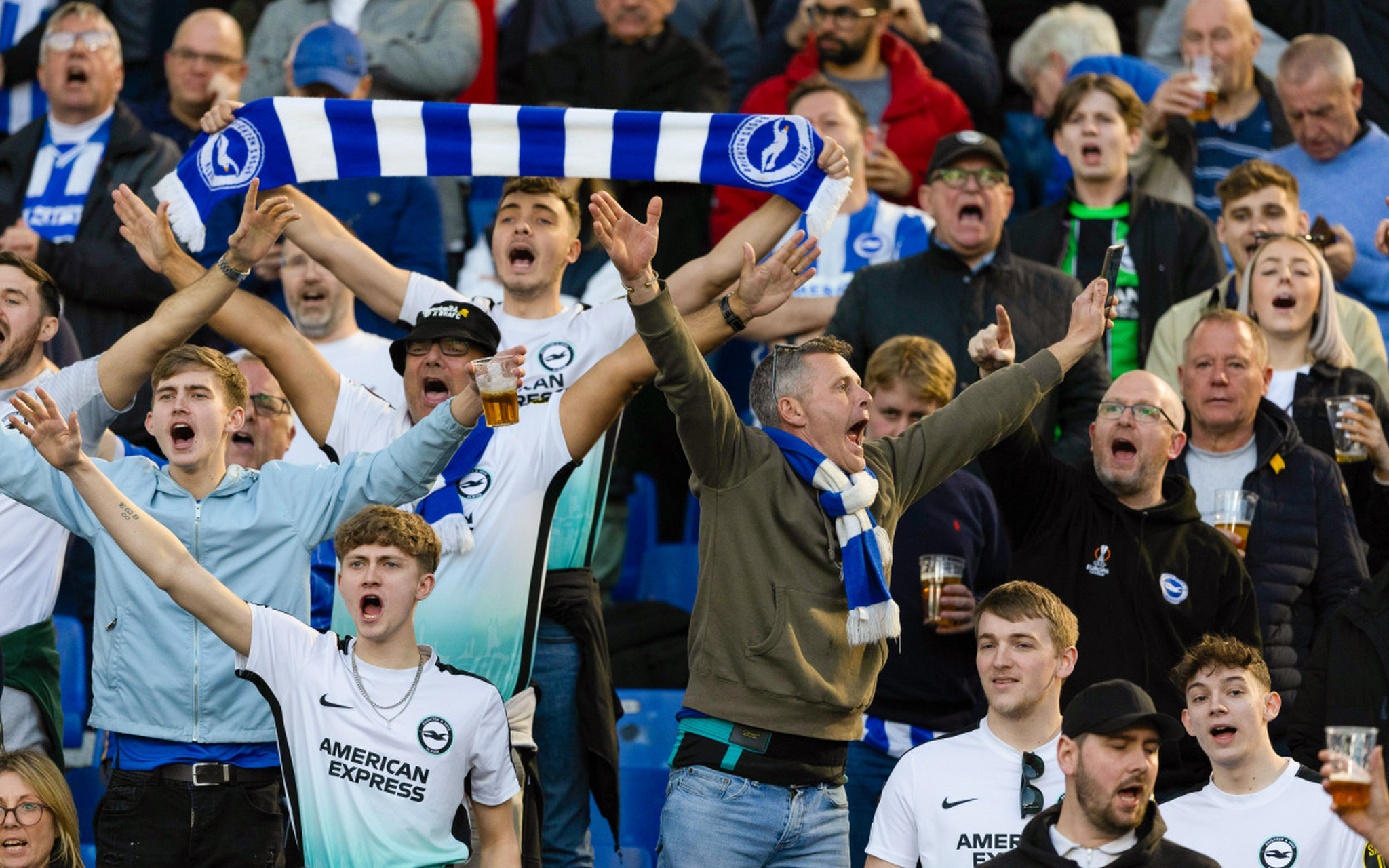 平博APP-欧洲球螋